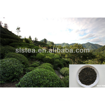 Té verde del mei-cha de China 4011 proporcionado por el fabricante principal del té verde de China